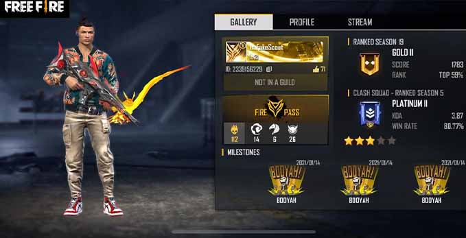 (August 2021) Free Fire Accounts ID and Passwords,10,000 Diamonds, Skins and Rewards