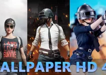 Pubg Wallpaper HD 4K Download Full Screen For Mobile Android & iPhone