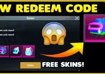 How to use them? PUBG Mobile Redeem codes 2022: