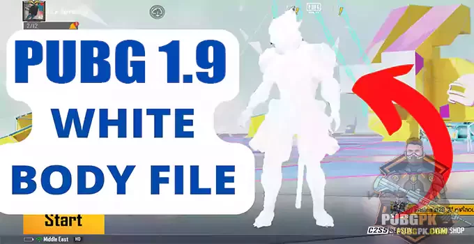 PUBG 1.9 White Body Config File (32bit64 Bit) Download