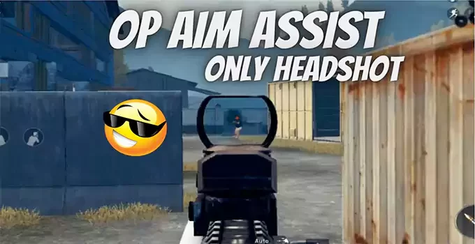 PUBG Headshot Config File Download (Enable Aim Assist Only Headshot)