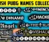 1000+ Best Stylish Names For PUBG Lite 2022